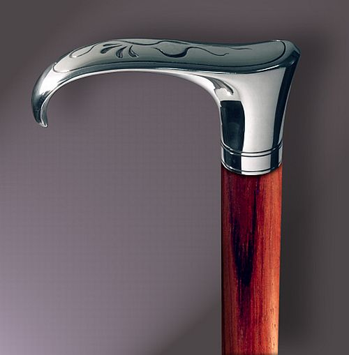 baston sarpele zburator